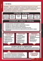 Гигиена